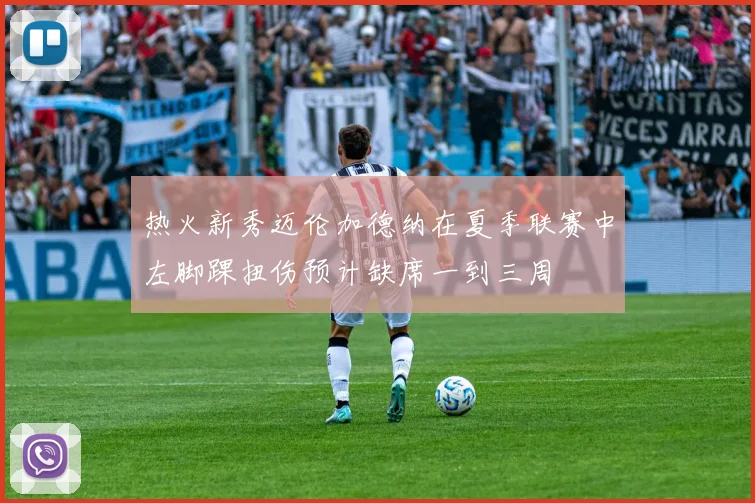 热火新秀迈伦加德纳在夏季联赛中左脚踝扭伤预计缺席一到三周