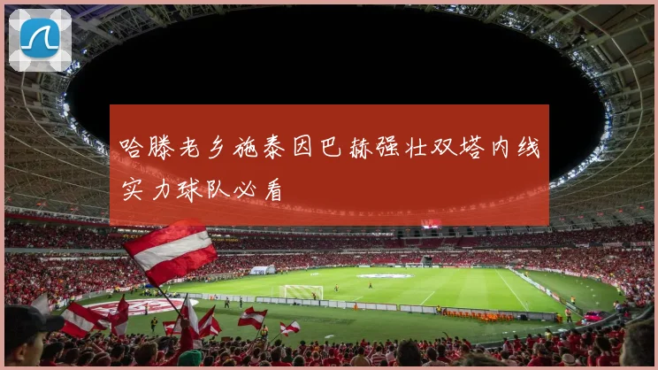 哈滕老乡施泰因巴赫强壮双塔内线实力球队必看
